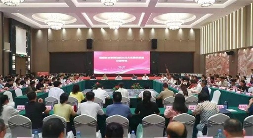 我校林公翔教授在“新大众文艺”专题研讨会上应邀做主题发言